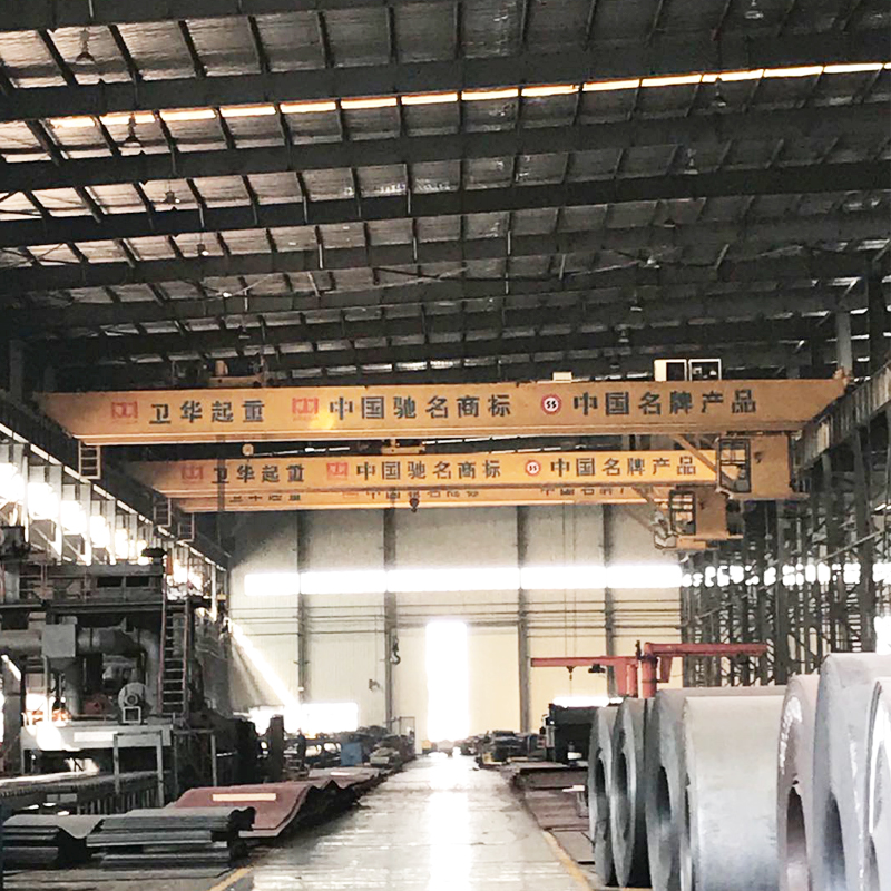 WEIHUA Double Girder Overhead Crane with Electric Hoist